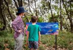 Gympie Regional Libraries Story Walk: Dive Into The Magic Of One Remarkable Reef